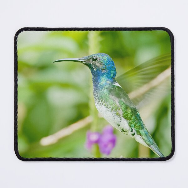 Item preview, HOVER BIRD designed and sold by adumont1.