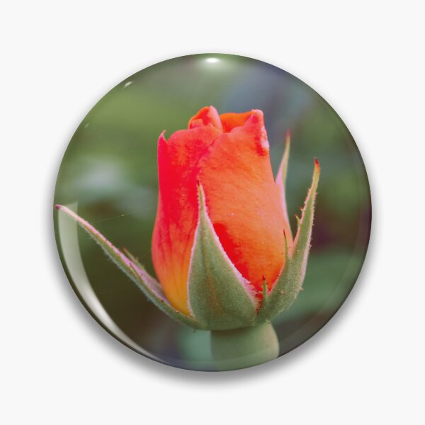 Item preview, ROSEBUD designed and sold by adumont1.