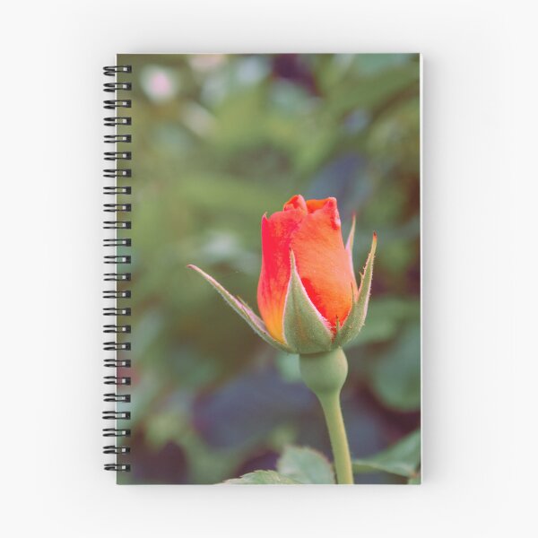 Item preview, ROSEBUD designed and sold by adumont1.
