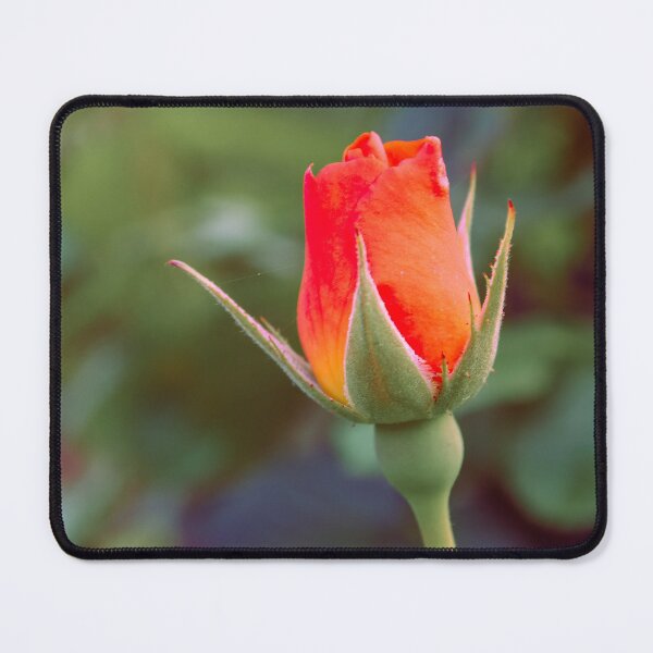 Item preview, ROSEBUD designed and sold by adumont1.