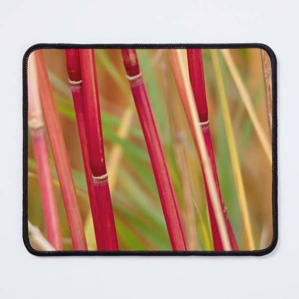 Item preview, RED REED CLOSE UP designed and sold by adumont1.