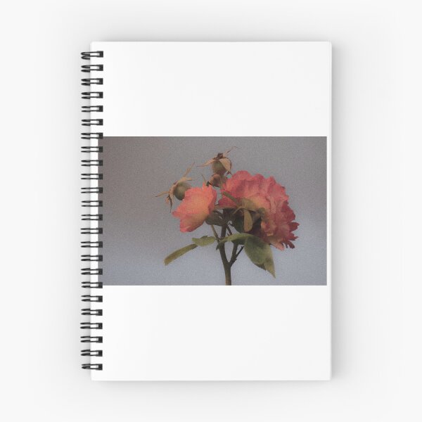 Item preview, Timeless Roses designed and sold by Ch21541.