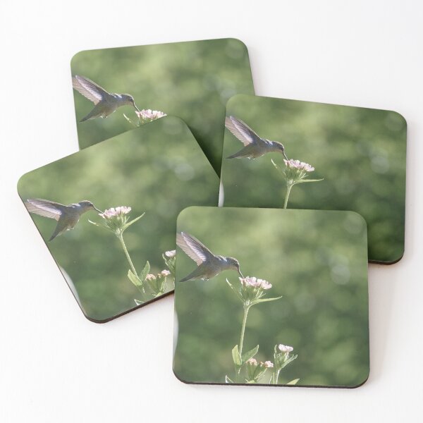Item preview, POISED HUMMING BIRD designed and sold by adumont1.