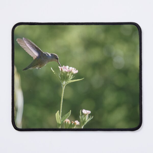 Item preview, POISED HUMMING BIRD designed and sold by adumont1.