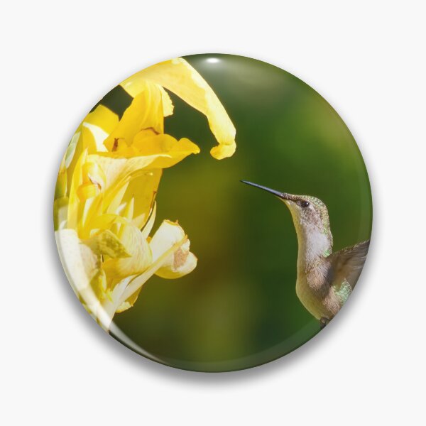 Item preview, HOVERING HUMMINGBIRD designed and sold by adumont1.