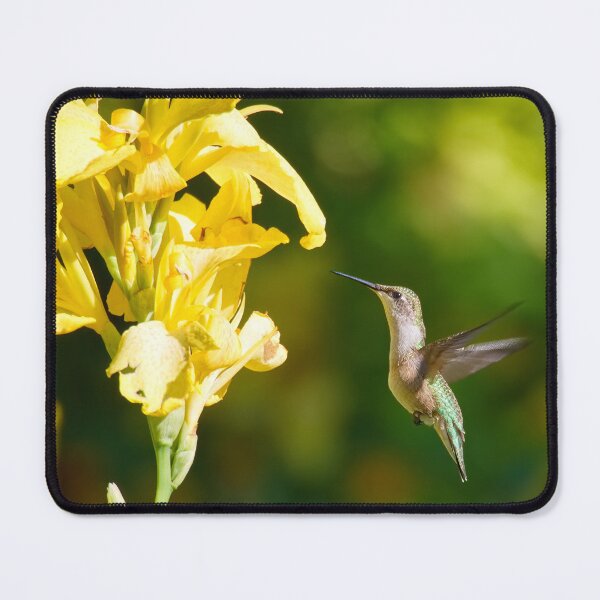 Item preview, HOVERING HUMMINGBIRD designed and sold by adumont1.