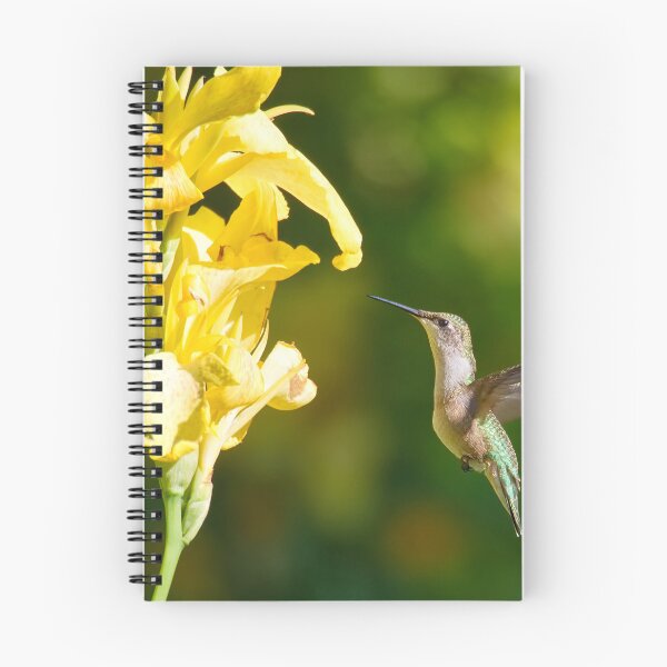 Item preview, HOVERING HUMMINGBIRD designed and sold by adumont1.