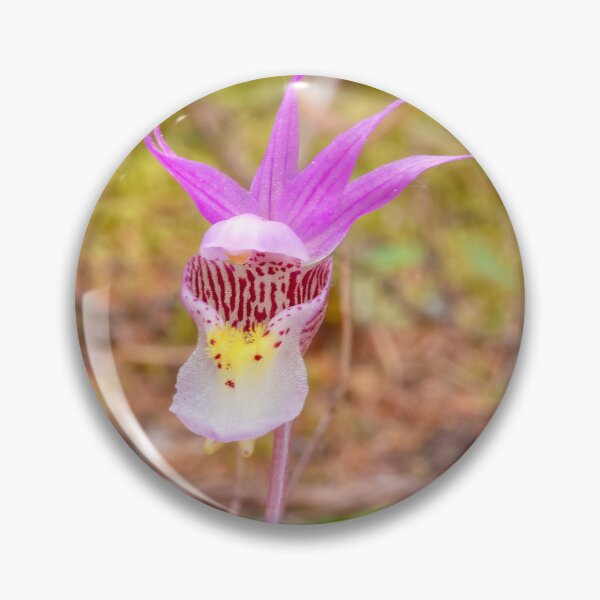 Artikelvorschau, CALYPSO-ORCHIDEE entworfen und verkauft von adumont1.