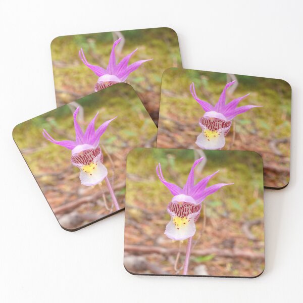 Artikelvorschau, CALYPSO-ORCHIDEE entworfen und verkauft von adumont1.