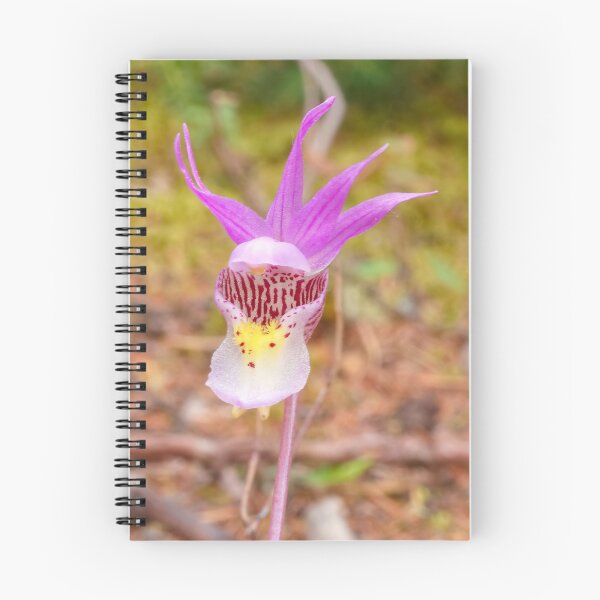 Artikelvorschau, CALYPSO-ORCHIDEE entworfen und verkauft von adumont1.