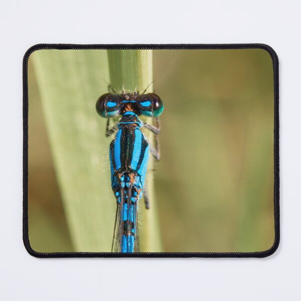 Item preview, BLUE DAMSEL designed and sold by adumont1.
