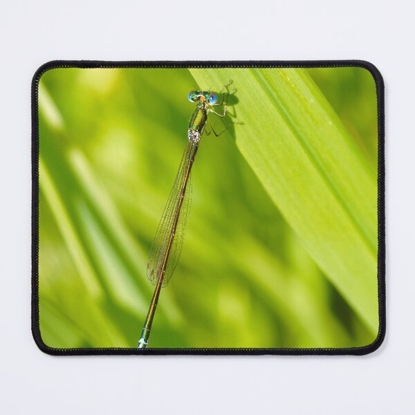 Item preview, DELICATE DAMSEL designed and sold by adumont1.