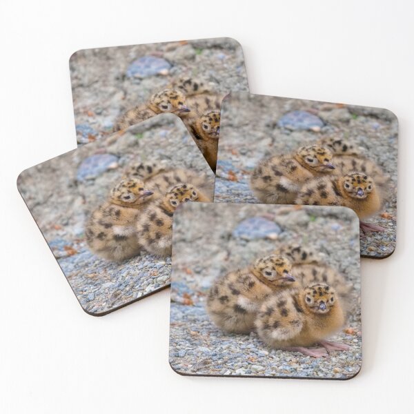 Item preview, BABY TERNS designed and sold by adumont1.