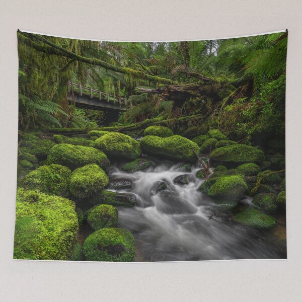 Item preview, Otways Victoria designed and sold by paulmp.