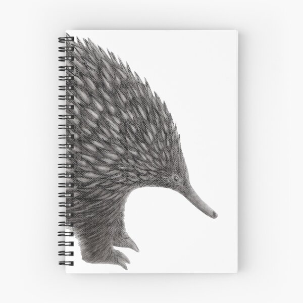 Item preview, Australian Wildlife Echidna designed and sold by Kayla Outhred Artist .