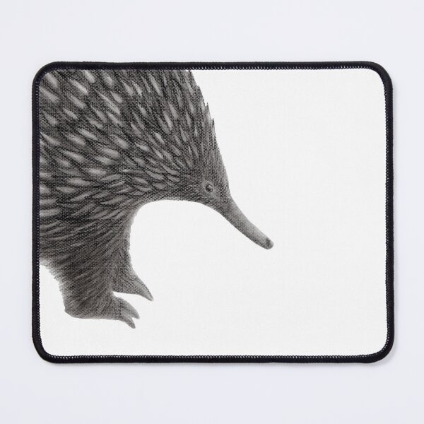 Item preview, Australian Wildlife Echidna designed and sold by Kayla Outhred Artist .