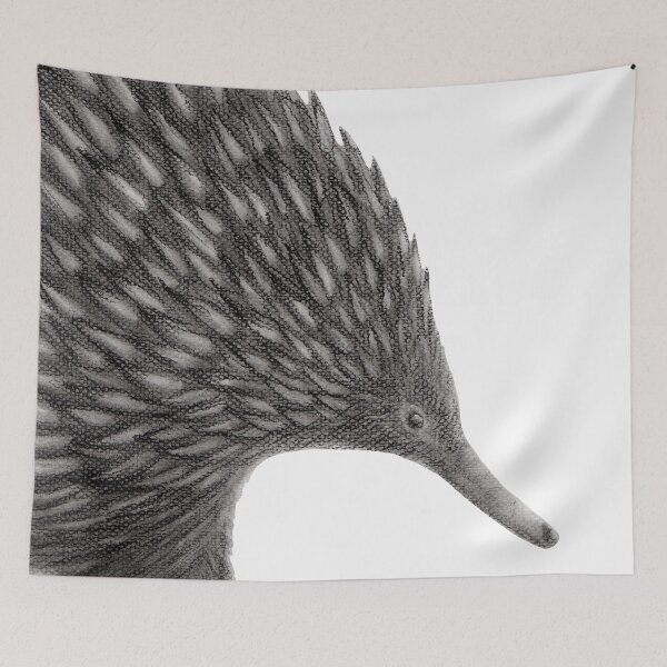 Item preview, Australian Wildlife Echidna designed and sold by Kayla Outhred Artist .
