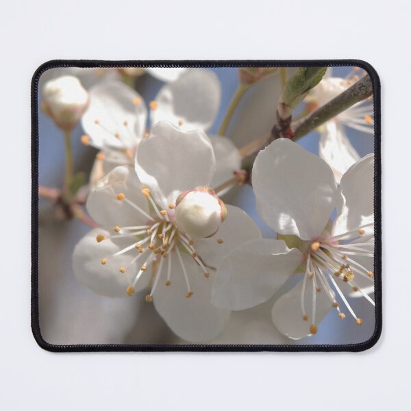Item preview, White Spring Blossoms Under Blue Sky designed and sold by vikko-art.