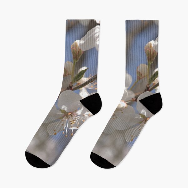 Item preview, White Spring Blossoms Under Blue Sky designed and sold by vikko-art.