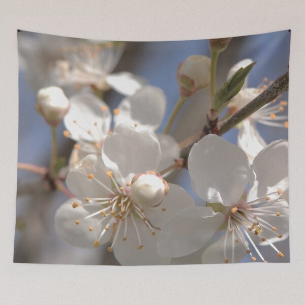 Item preview, White Spring Blossoms Under Blue Sky designed and sold by vikko-art.