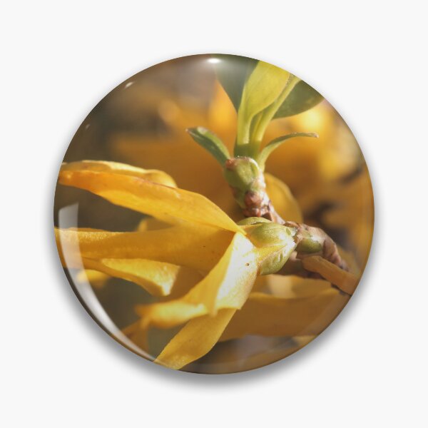 Item preview, Bright Yellow Forsythia Spring Bloom designed and sold by vikko-art.