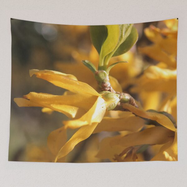 Item preview, Bright Yellow Forsythia Spring Bloom designed and sold by vikko-art.