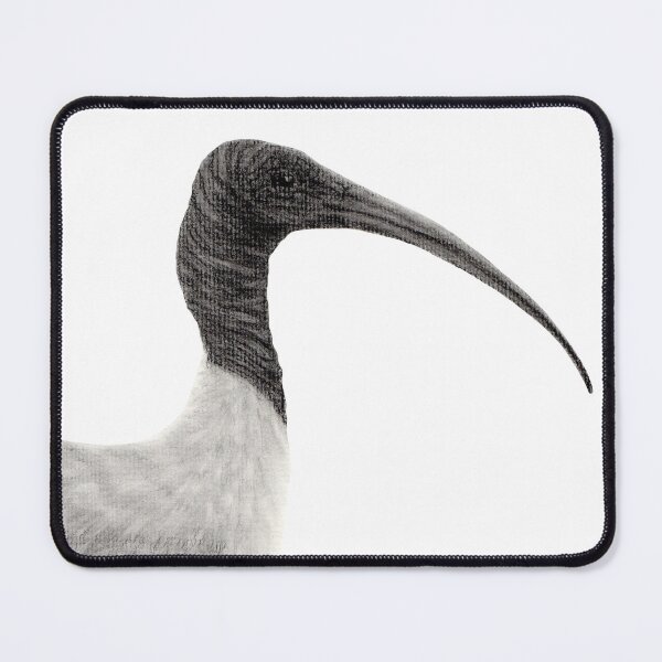 Item preview, Australian Wildlife Ibis designed and sold by Kayla Outhred Artist .