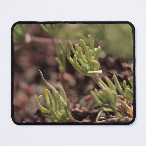 Item preview, Minimalist Green Nature Texture designed and sold by vikko-art.