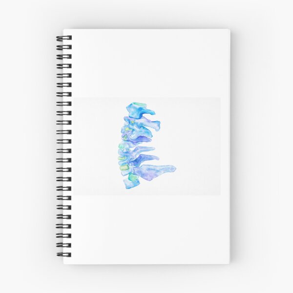 Item preview, Watercolor Spine Anatomy Illustration designed and sold by drmekcrafts.