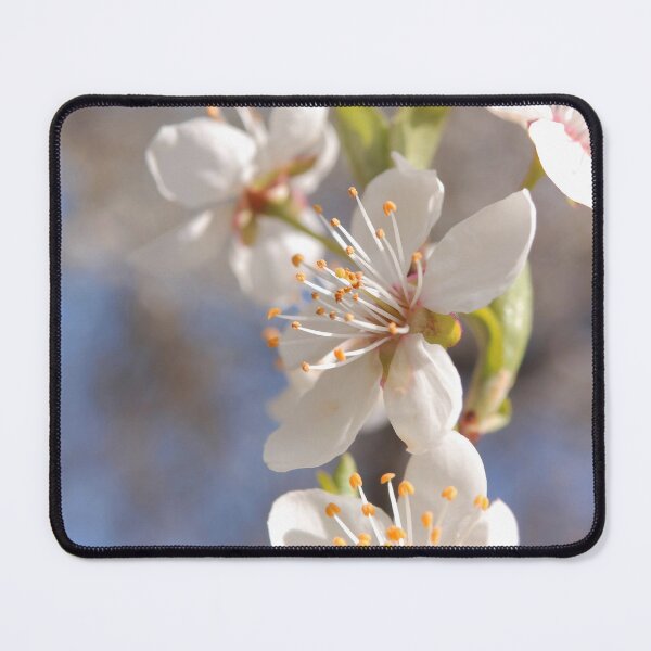 Item preview, Delicate White Spring Blossoms under Blue Sky designed and sold by vikko-art.
