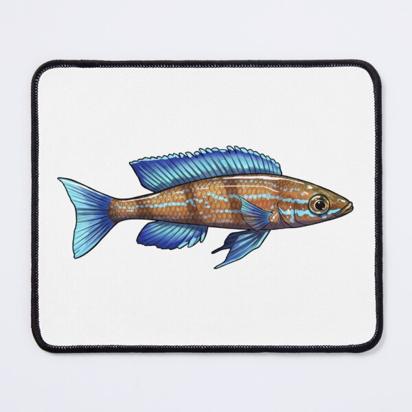 Item preview, Blue Neon Cichlid (Paracyprichromis nigripinnis) designed and sold by My-Thing.