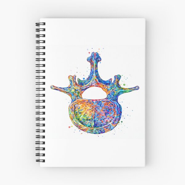 Item preview, Colorful Vertebra Anatomy Watercolor Art designed and sold by drmekcrafts.