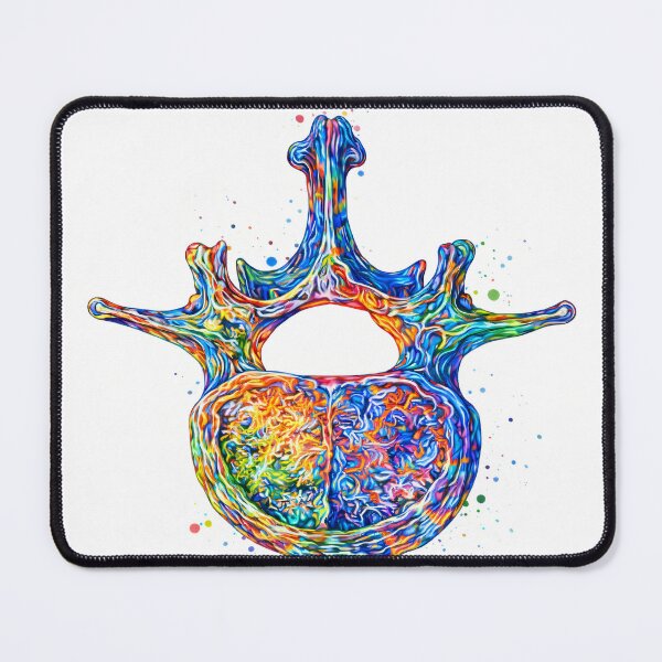 Item preview, Colorful Vertebra Anatomy Watercolor Art designed and sold by drmekcrafts.