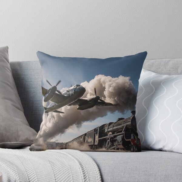 Item preview, Steam and Skyfire designed and sold by Skyframe Aviation.