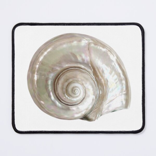 Item preview, Shell designed and sold by kotomyau.