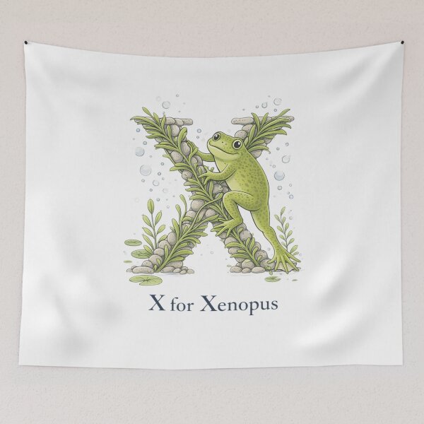 Item preview, X for xenopus  designed and sold by trendie-tees.