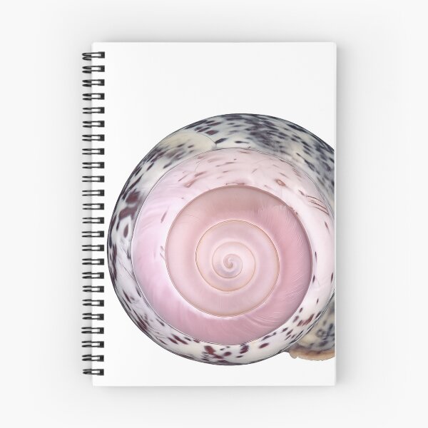 Item preview, Pink Shell  designed and sold by kotomyau.