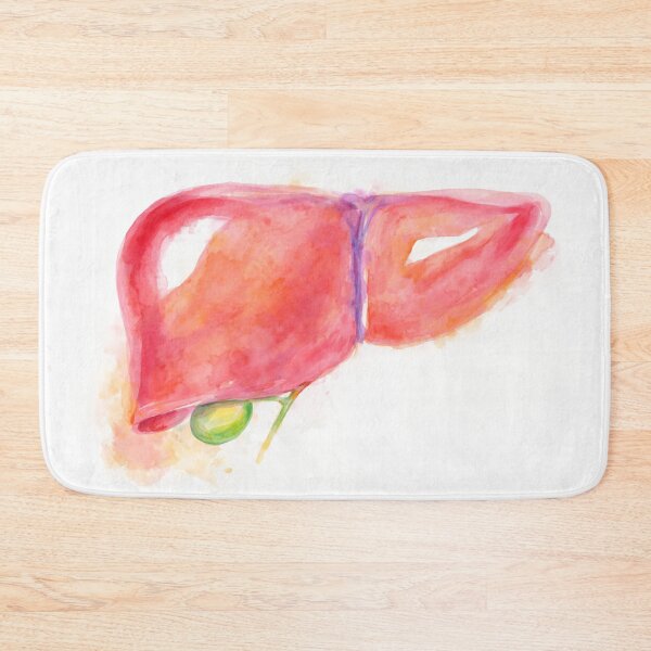 Item preview, Watercolor Liver Anatomy Illustration designed and sold by drmekcrafts.