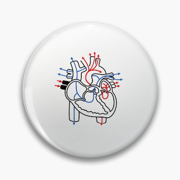 Item preview, Human Heart Blood Flow Anatomy Illustration designed and sold by drmekcrafts.