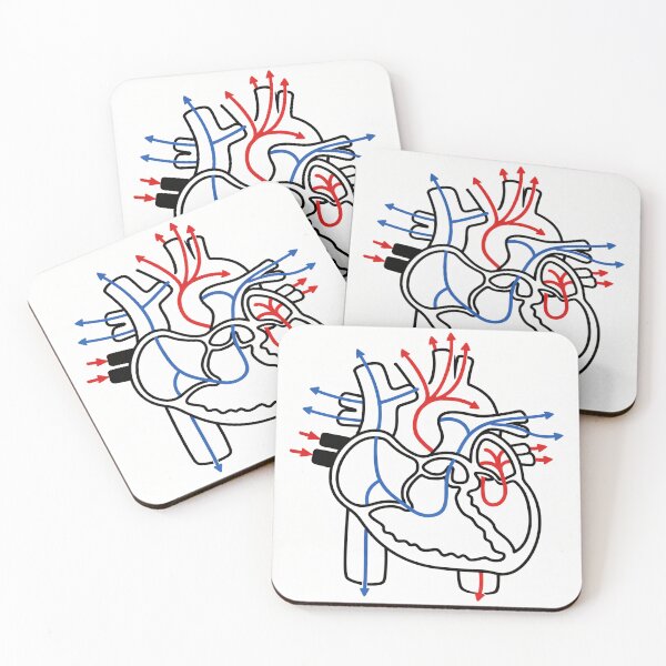 Item preview, Human Heart Blood Flow Anatomy Illustration designed and sold by drmekcrafts.