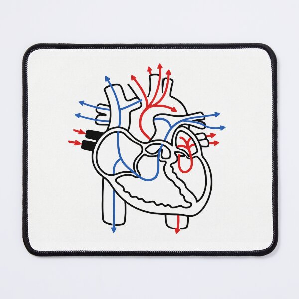 Item preview, Human Heart Blood Flow Anatomy Illustration designed and sold by drmekcrafts.
