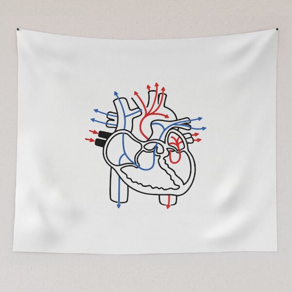 Item preview, Human Heart Blood Flow Anatomy Illustration designed and sold by drmekcrafts.