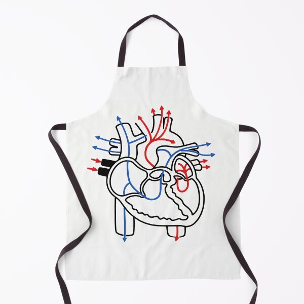 Item preview, Human Heart Blood Flow Anatomy Illustration designed and sold by drmekcrafts.