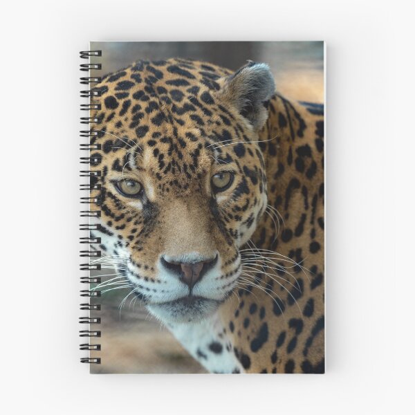 Item preview, Jaguar portrait designed and sold by Rinoxxx.
