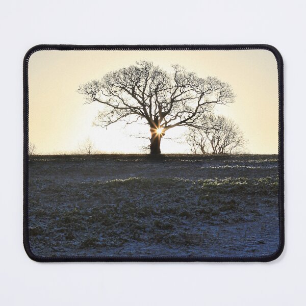 Item preview, frosty morning designed and sold by Murph's Images.