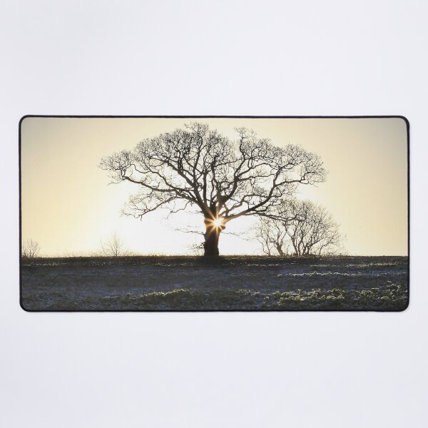 Item preview, frosty morning designed and sold by Murph's Images.