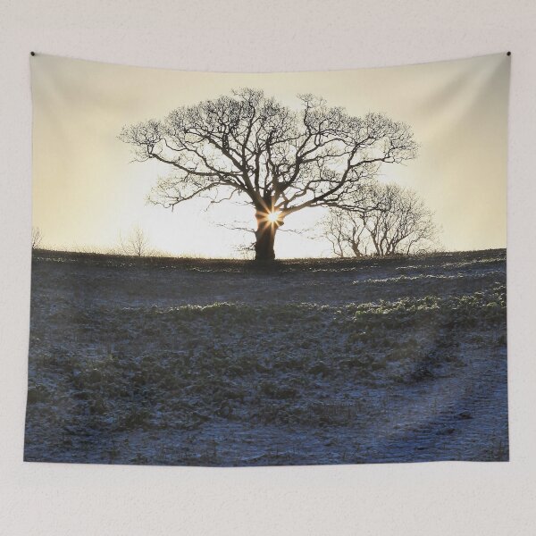 Item preview, frosty morning designed and sold by Murph's Images.