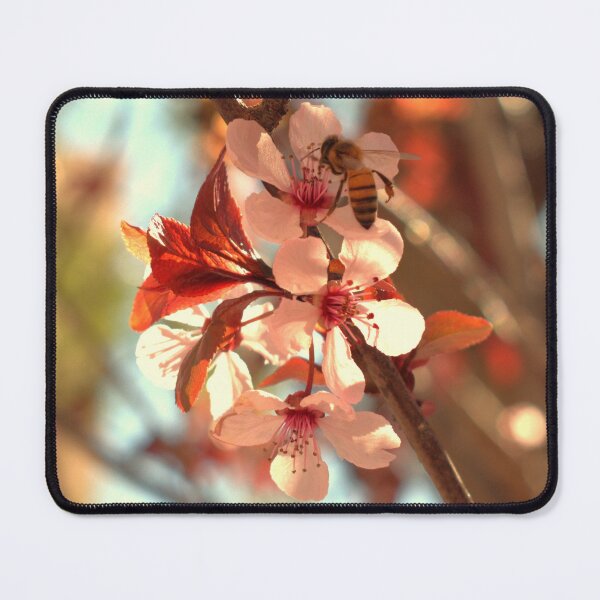Item preview, Cherry Blossoms 4 designed and sold by MangoSeeds2.