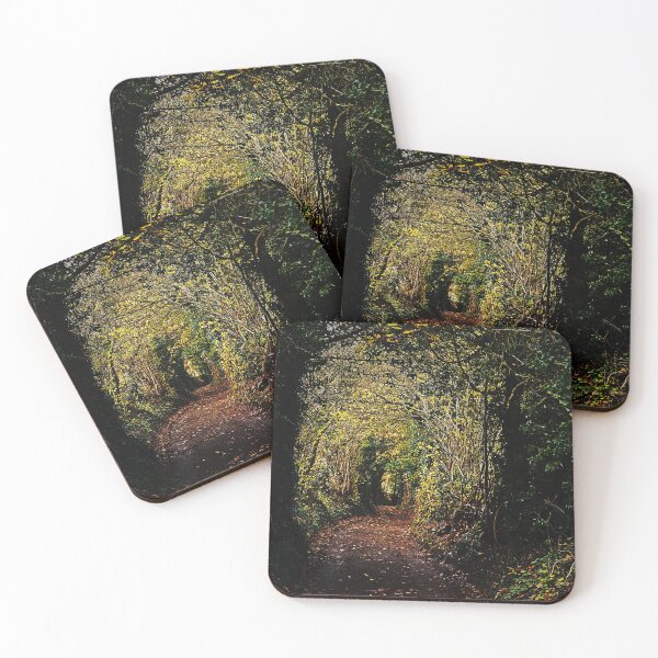 Item preview, woody lane designed and sold by Murph's Images.