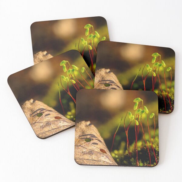Item preview, Nature's Tiny Sprouts designed and sold by Veikko  Suikkanen.